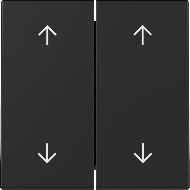 Gira 3297005 Wippe 2-fach Pfeile, System 55, schwarz matt
