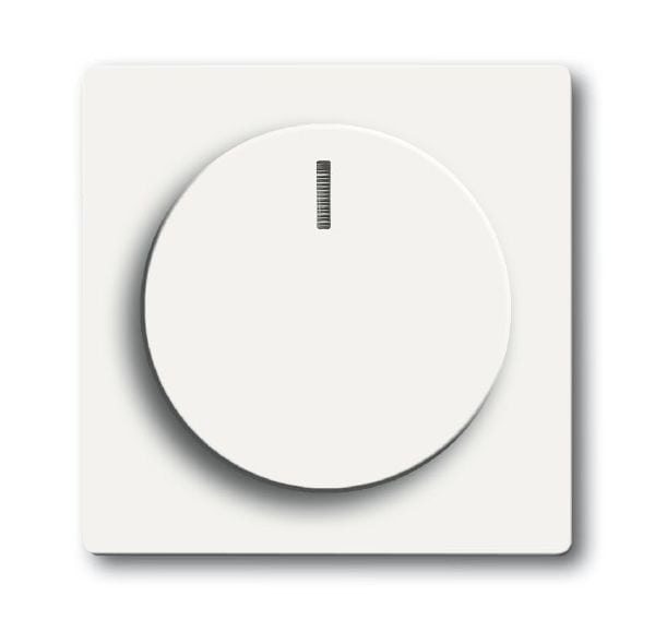 Busch-Jaeger 6540-884-102 Zentralscheibe für Drehdimmer mit transparentem Leuchtring, studioweiß matt, Plattform 63