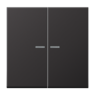 Jung AL10921STRFD KNX RF Taster 2-fach, Aluminium lackiert, Serie LS, dark