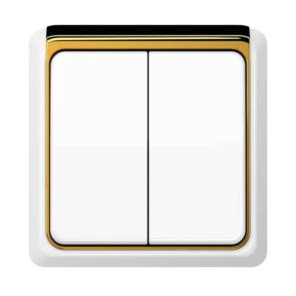 Jung CDP82GGO Applikations-Segment, CD PLUS, glanzgold (galvanisiert)