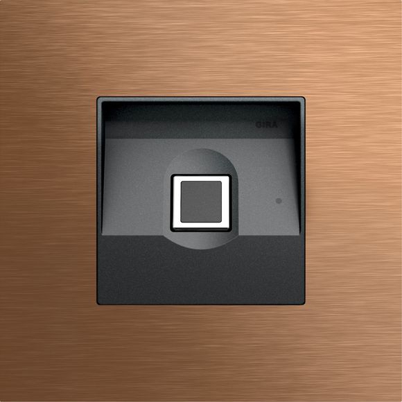 Gira 5551921 Gira Keyless In Fingerprintmodul, System 106, Bronze