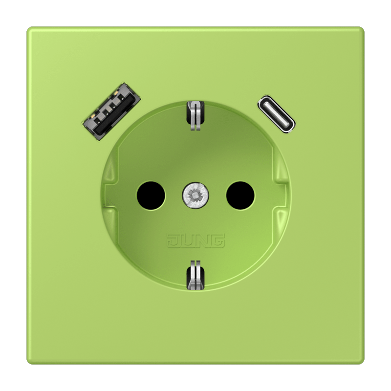 Jung LC152015CA221 Schutzkontakt-Steckdose mit USB-Ladegerät Typ AC, Safety+, Les Couleurs® 32052, vert clair