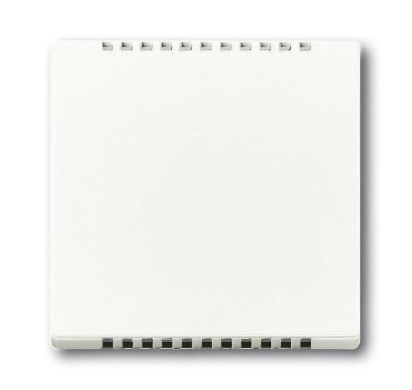 Busch-Jaeger 6541-884 Zentralscheibe für Kühlteil für Unterputz-Drehdimmer, studioweiß matt, Plattform 63