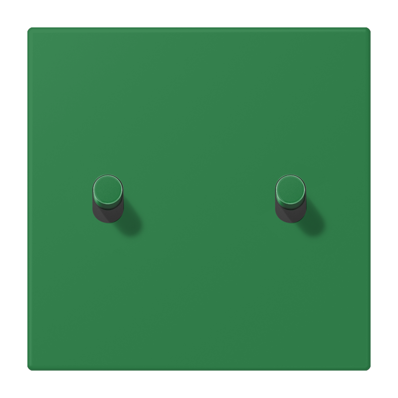 Jung LC12-5R0219 Abdeckung mit Kipphebel "Zylinder", 2 Kipphebel, vert foncé