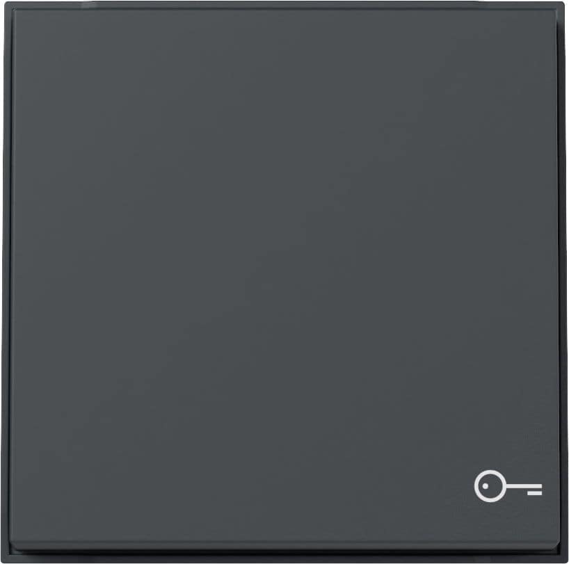 Gira 328767 Wippe Symbol "Tür", Gira TX_44, (WG UP), anthrazit