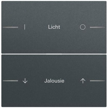 Gira 862273 Ersatzwippe für Wippenset 2-fach individuell für Tastsensor 4.70, anthrazit lackiert