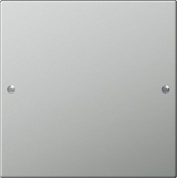 Gira 2131601 Wippenset 1-fach, System 55, edelstahl
