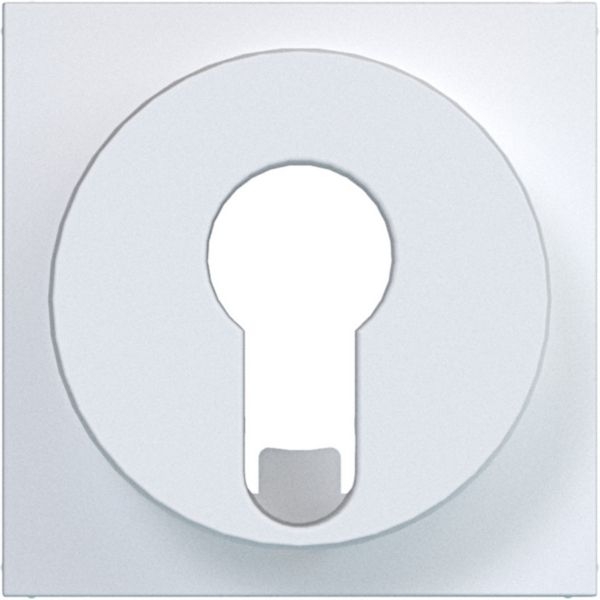 Hager WAF1312WM Zentralstück für Jalousie-Schlüsselschalter/-taster für DIN-Profilzylinder, A.x/C.x, lichtweiß matt