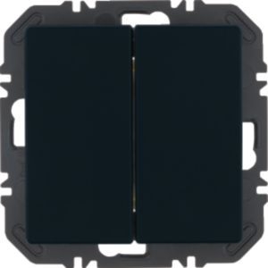 Berker 24126036 Friends of Hue Modul mit Wippe 2-fach, Q.x, anthrazit samt
