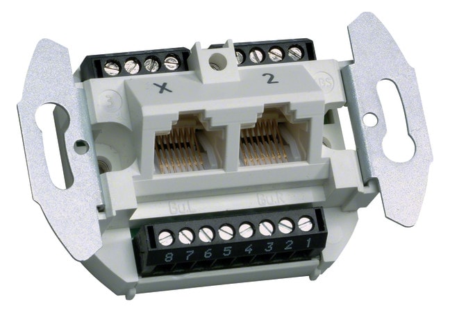 Hager Tehalit G3120 Datendose für 2 Cat.3-Anschlüsse 8/8 polig