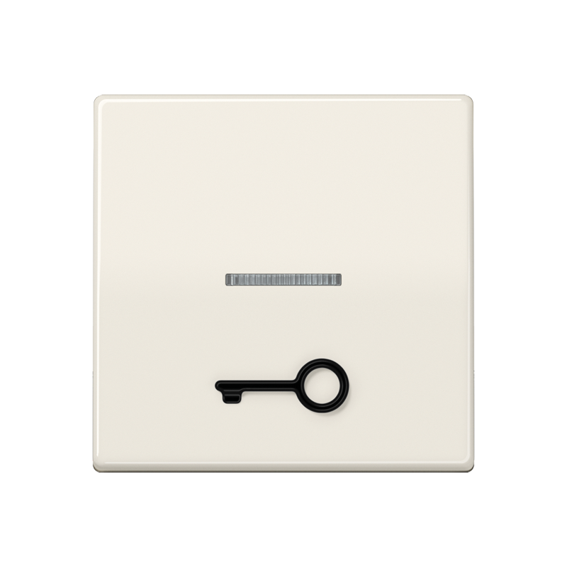 Jung AS591T1KO5 Wippe 1-fach, mit tastbarem Symbol Tür, mit Lichtleiter, Duroplast, Serie AS, weiß (ivory)