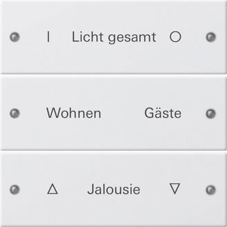 Gira 220327 Wippenset 3-fach beschreibbar System 55 Reinweiß seidenmatt lackiert