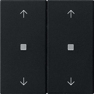 Gira 5386005 Wippe 2-fach Pfeile Kontrollfenster, System 55, schwarz matt