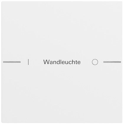 Gira 576170 Wippenset 1-fach individuell für Tastsensor 4.70, System 70, reinweiß glänzend