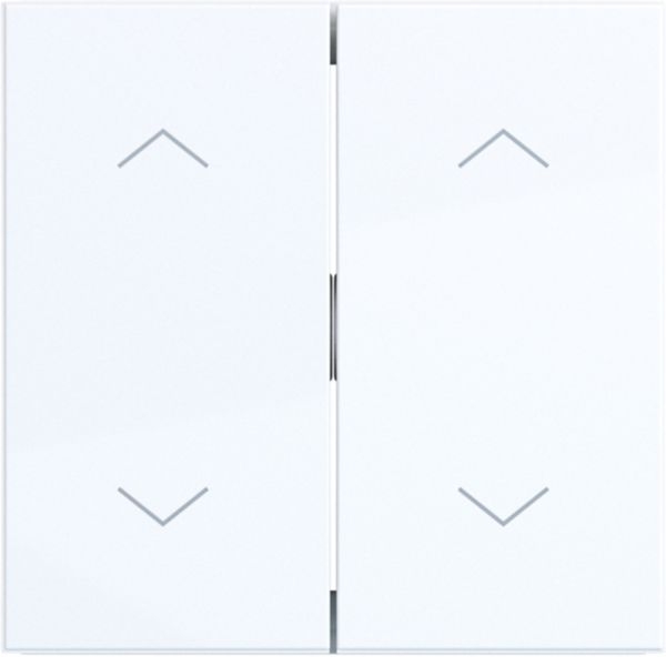 Hager WAW2002WG Wippe 2-fach mit Aufdruck Symbol 4x Pfeile, A.x/C.x, lichtweiß glänzend