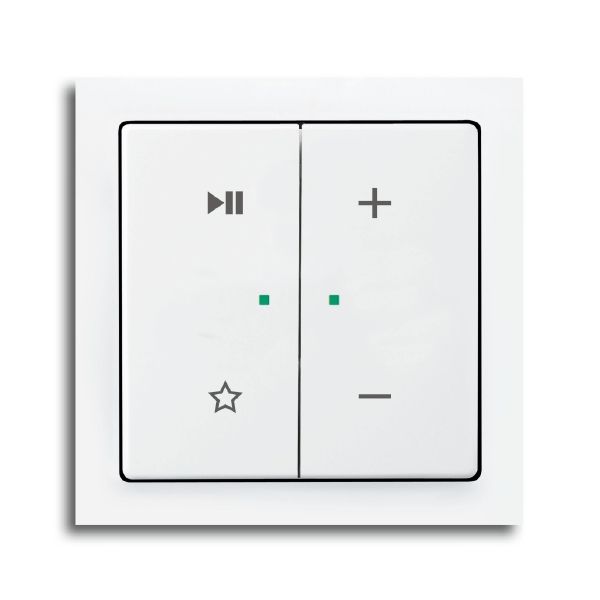 Busch-Jaeger 6237-21-84 Wippe 2-fach links mit Symbol "Play/Pause"