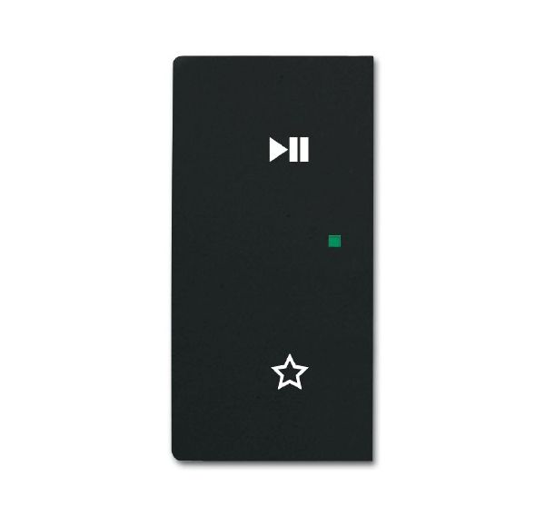 Busch-Jaeger 6237-21-885 Wippe 2-fach links mit Symbol "Play/Pause"