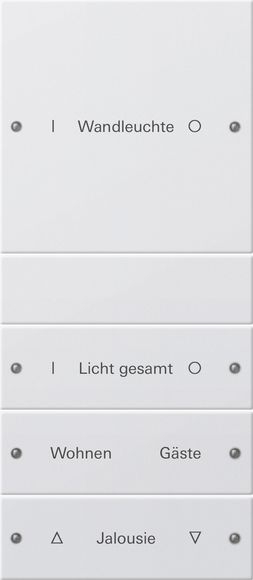 Gira 220403 Wippenset 4-fach (1+3) beschreibbar System 55 Reinweiß lackiert