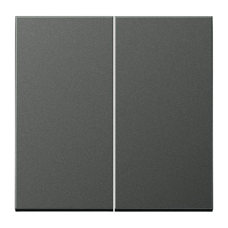 Jung AL102AN Wippe für Taster 2-fach, Aluminium lackiert, F10, Serie LS, anthrazit
