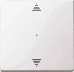 Merten 619419 Wippe für Tastermodul 1-fach mit Aufdruck Auf/Ab, System M, polarweiß glänzend