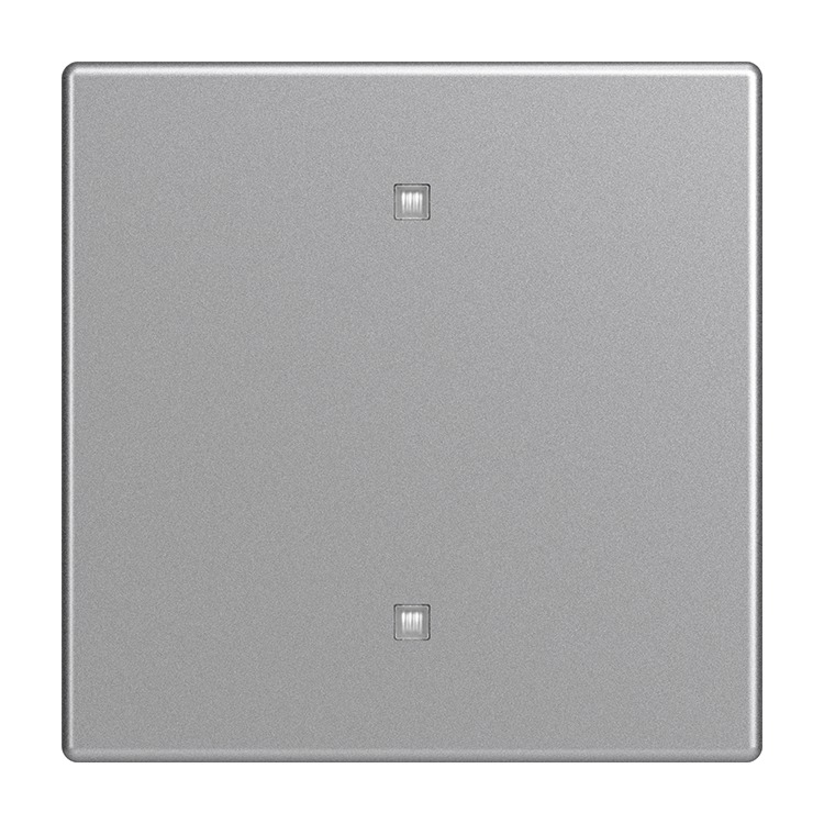 Busch-Jaeger 2570-10-83 Wippe 1-fach für Elektroniktaster mit transparenten Kalotte, aluminium silber matt