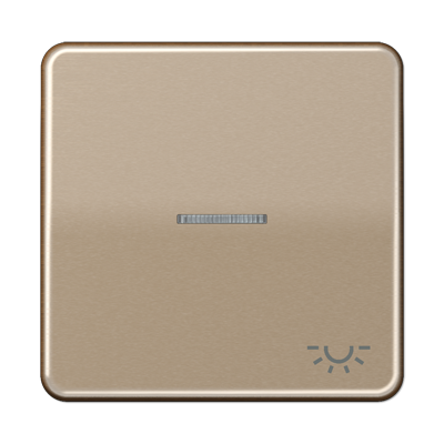 Jung CD590KO5LGB Wippe mit Lichtleiter, Symbol Licht, Aluminium eloxiert, Serie CD, gold-bronze