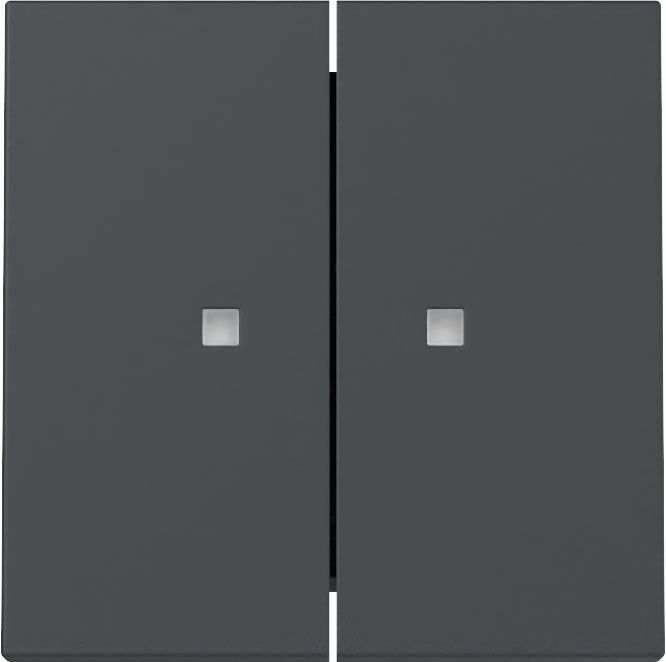 Gira 363128 Wippe 2-fach mit Kontrollfenster, System 55, anthrazit