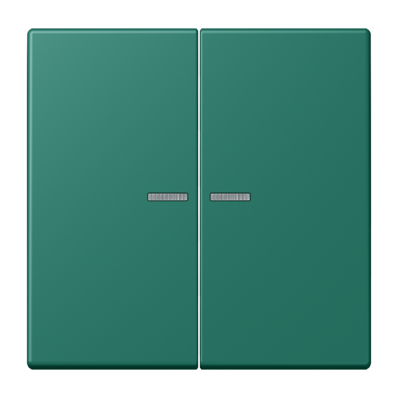 Jung LC995KO5216 Wippe 2-fach, mit Lichtleiter, Les Couleurs® 32040, vert anglais
