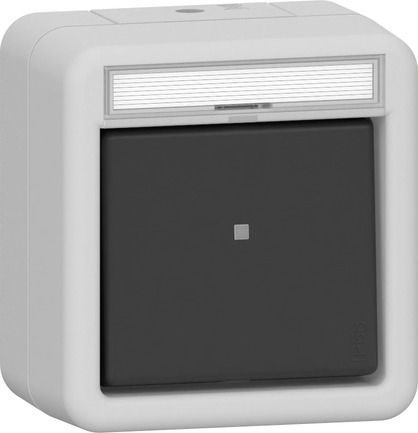 Gira 315631 Wipptaster mit Beschriftungsfeld, Wechsler 1-polig
