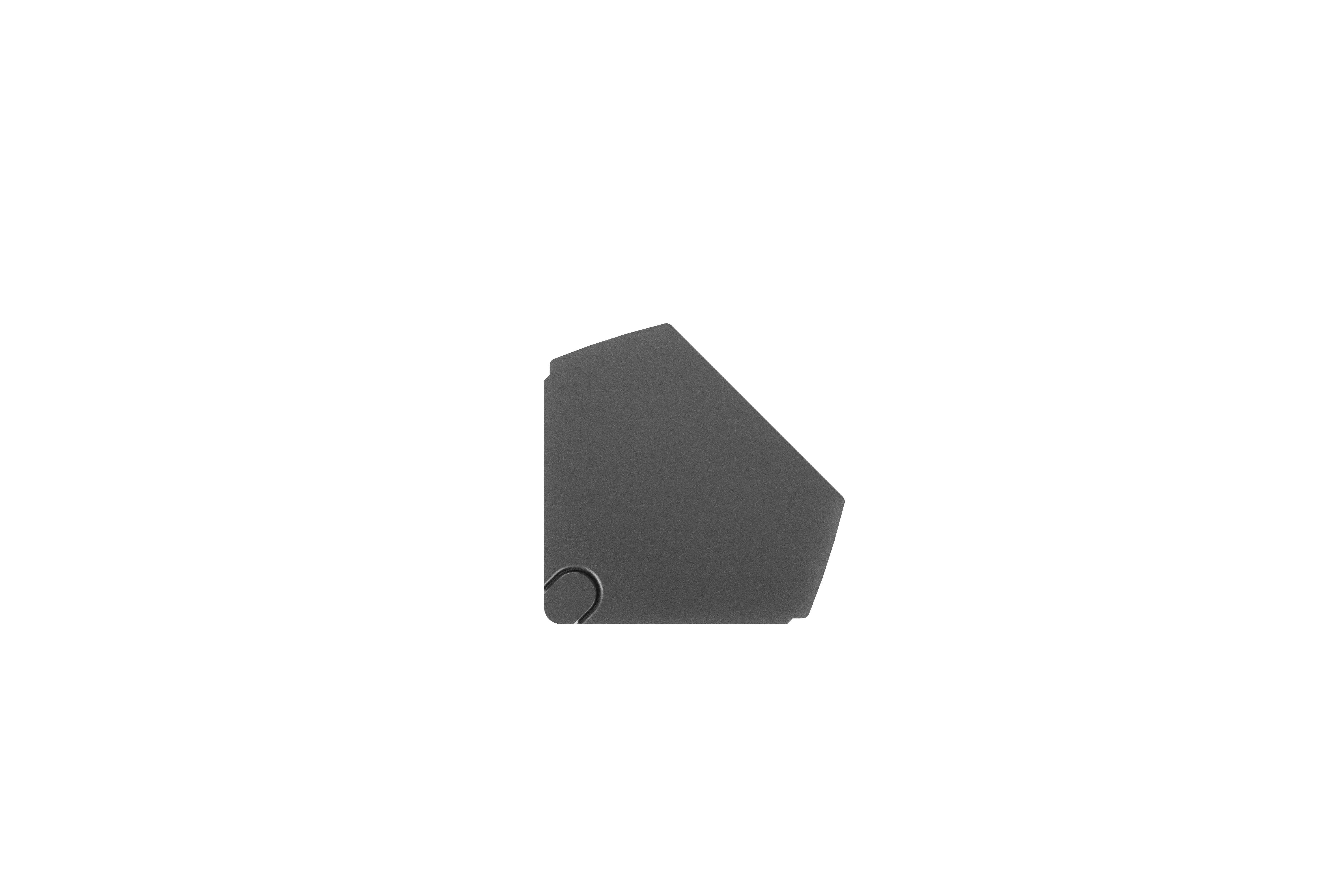 Bachmann BM0023172 Steckdosenleiste CASIA 2 Kurz, 2x Schutzkontaktsteckdose, 1x USB C/C 45W, 2,0 m Aderendhülsen und beigelegter Montagestecker, edelstahl