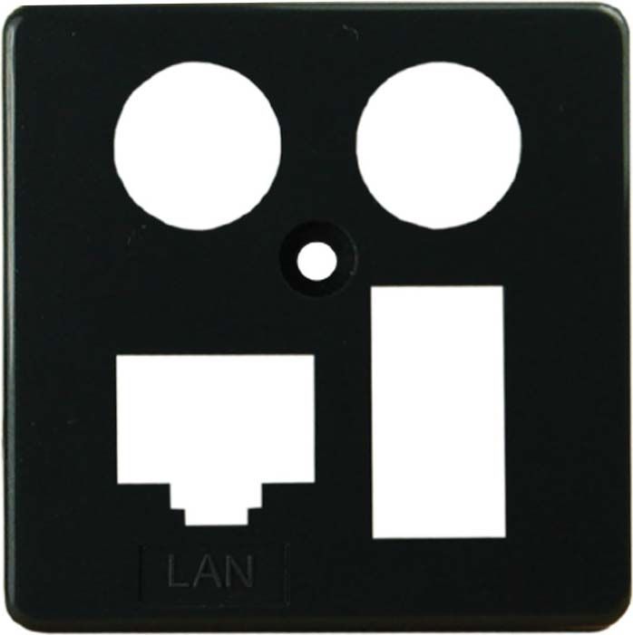 Homeway Zentralplatte HAXHSE-G0401-S024 für LAN/TAE-Modul 50x50mm