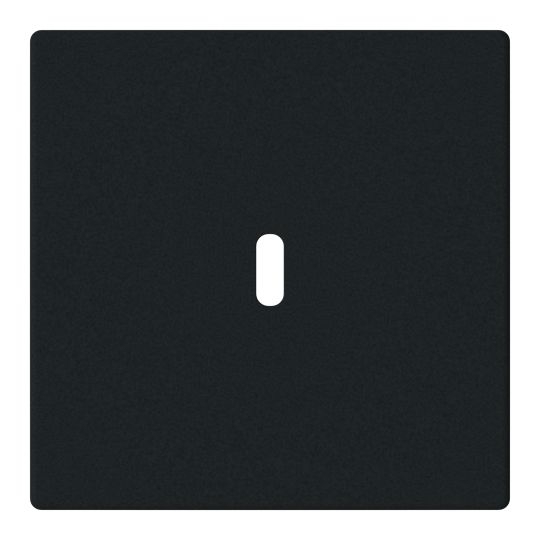 Busch-Jaeger 6479-885 Zentralscheibe für USB Ladestation 1-fach mit USB-C-Anschluss, Plattform 63, schwarz matt