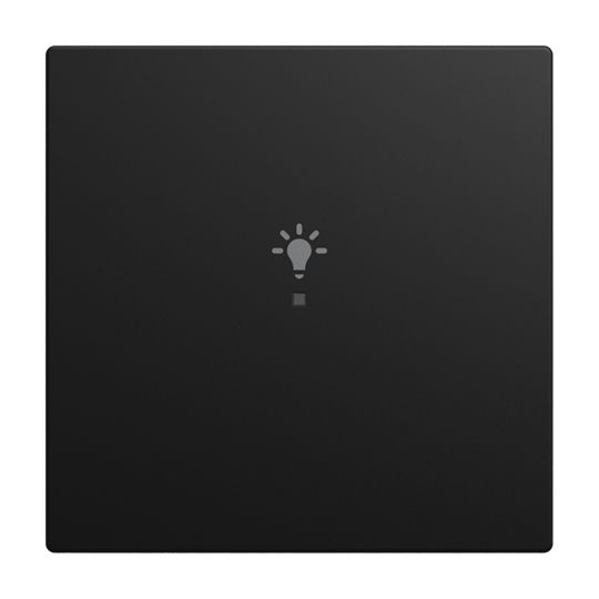 Busch-Jaeger 6231-10-915 Wippe 1-fach mit Symbol "Licht", Busch-free@home, Busch-balance SI, schwarz matt