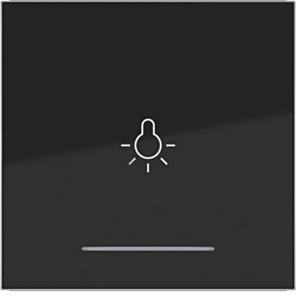 Hager WAW1032BG Wippe 1-fach mit Aufdruck Symbol Licht, klare Linse, A.x/C.x, nachtschwarz glänzend