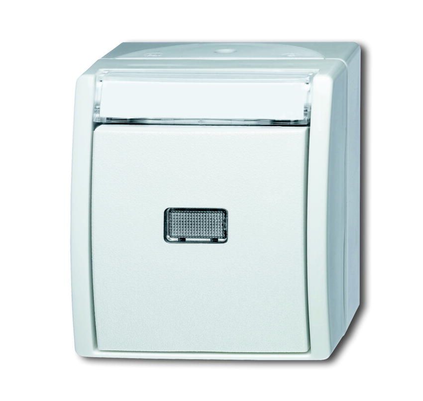 Busch-Jaeger 2621WN-54-201 Wipptaster Schließer 1polig, IP44