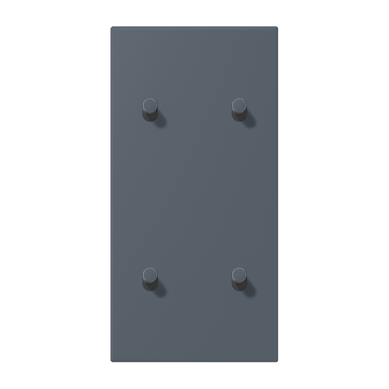 Jung LC12-25R0262 Abdeckung mit Kipphebel "Zylinder", 2 x 2 Kipphebel, senkrecht, gris fonce 59