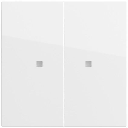Gira 536970 Wippe 2-fach unbedruckt mit Kontrollfenster, System 70, reinweiß glänzend
