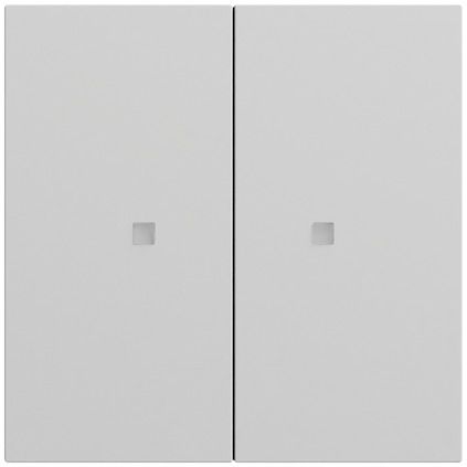 Gira 536976 Wippe 2-fach unbedruckt mit Kontrollfenster, System 70, grau matt (lackiert)