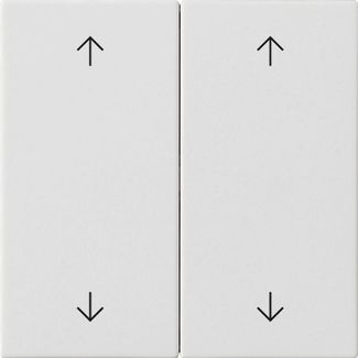Gira 538727 Wippe 2-fach Pfeile, System 55, reinweiß matt