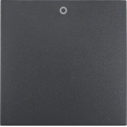 Berker 16221606 Wippe mit Aufdruck "0", S.1/B.3/B.7, anthrazit matt