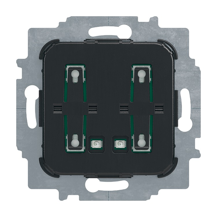 Busch-Jaeger 2058 UK Elektroniktaster-Einsatz "DO NOT DISTURB"/"MAKE UP ROOM", 24V, mit Beleuchtung, schwarz