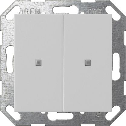 Gira 5173015 Taster Wippe 2-fach , One und KNX, System 55, grau matt