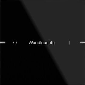Gira 503105 Wippenset 1-fach individuell für Tastsensor 4.95, Glas schwarz