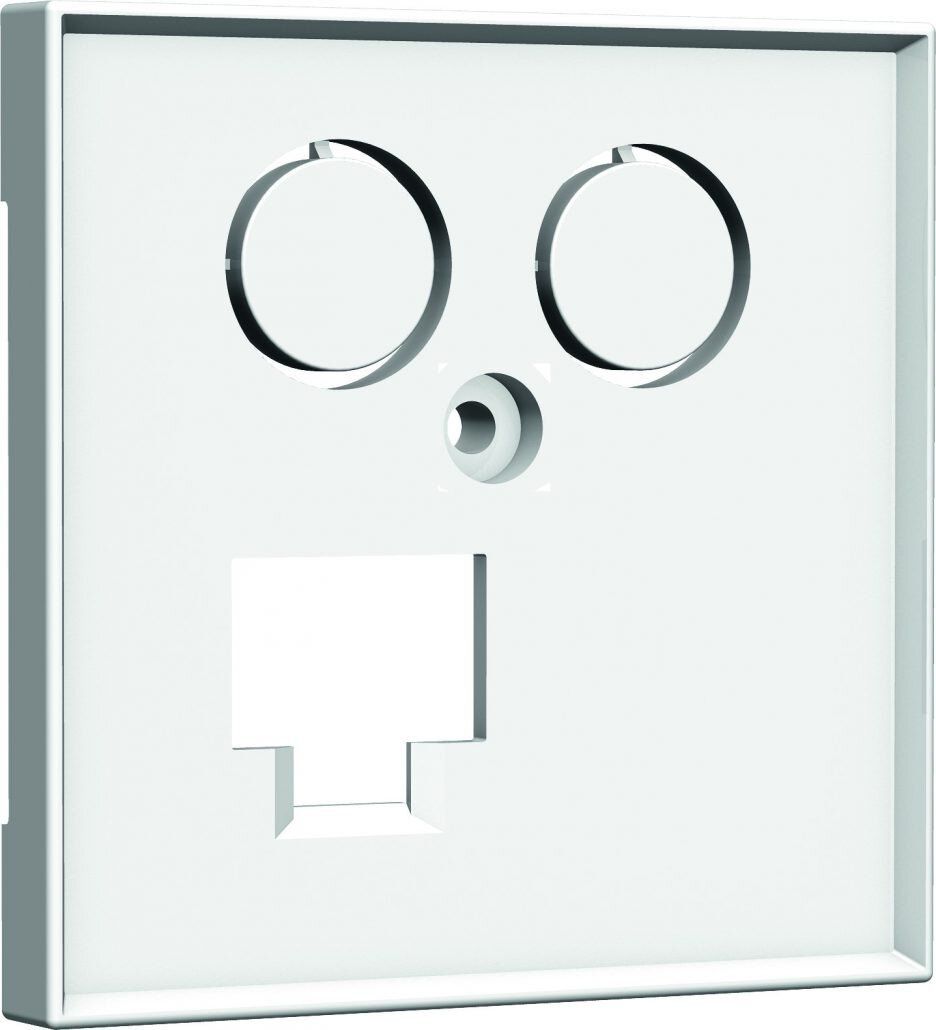 Homeway HW-ZL0RWG55V1 Zentralplatte für LAN/TV, 55x55mm