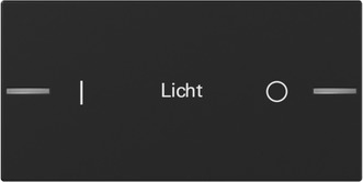 Gira 8622005 Wippe Wippenset 2-fach individuell Tastsensensor 4.55, schwarz matt