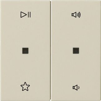 Gira 538401 Wippe 2-fach Audiosteuerung, System 55, cremeweiß