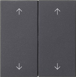 Gira 538728 Wippe 2-fach Pfeile, System 55, anthrazit