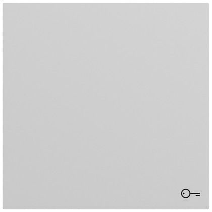 Gira 328776 Wippe mit Symbol Tür, System 70, grau matt (lackiert)