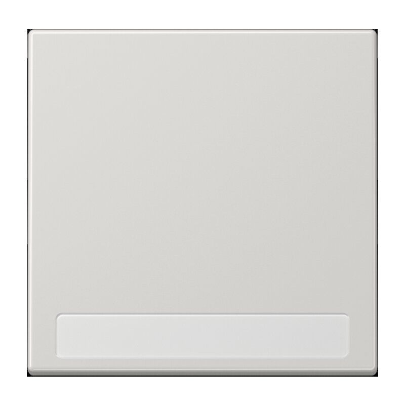 Jung LS990NALG Wippe, mit Schriftfeld, Duroplast, Serie LS, lichtgrau