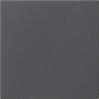 Gira 537228 Wippe 1-fach unbedruckt, System 55, anthrazit